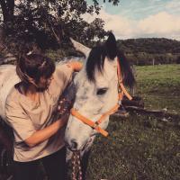 Mon cheval a mal au dos ? Les signes à reconnaitre pour avoir le bon réflexe chiro !